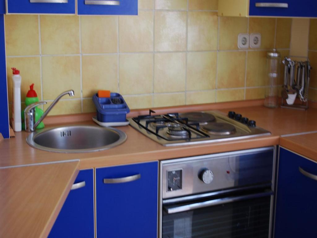 Apartmán Paunovic *
