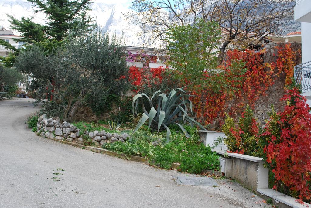 Apartmán Paunovic Makarska